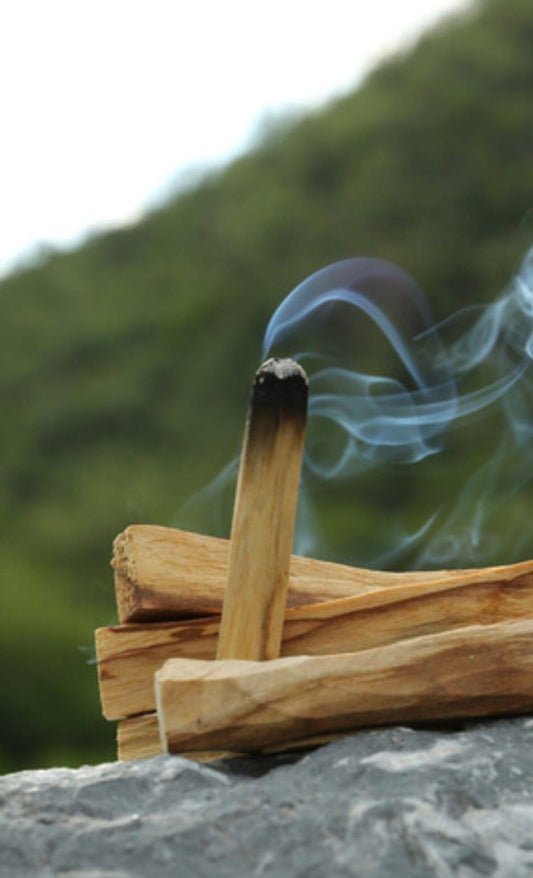 Palo Santo Sticks